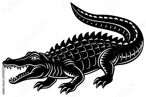 crocodile isolated on white