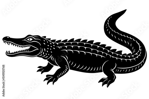 crocodile on white background