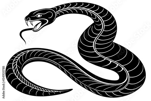 black and white snake