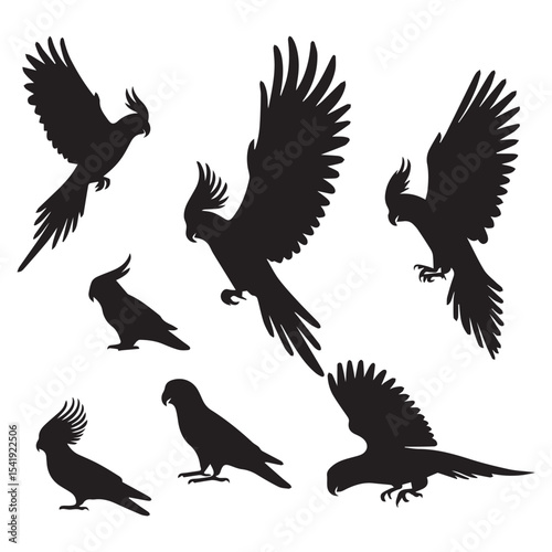 parrot silhouettes illustration.