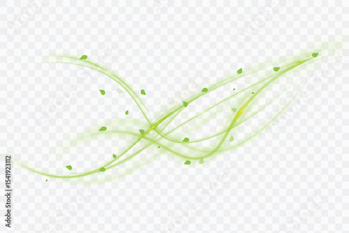 Bright green swirl with twisted leaves on transparent background. Vector effect on the topic: healthcare, ecology, medicine and sustainable development.