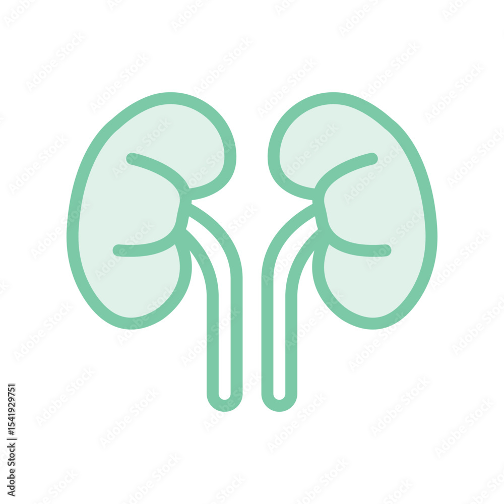 Fototapeta premium Human Kidneys duotone line icon , vector, pixel perfect, illustrator file 