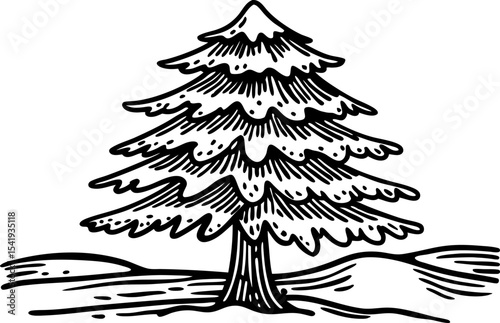 Hand drawn evergreen pine tree illustration nature landscape, forest symbol, stylized conifer with branches