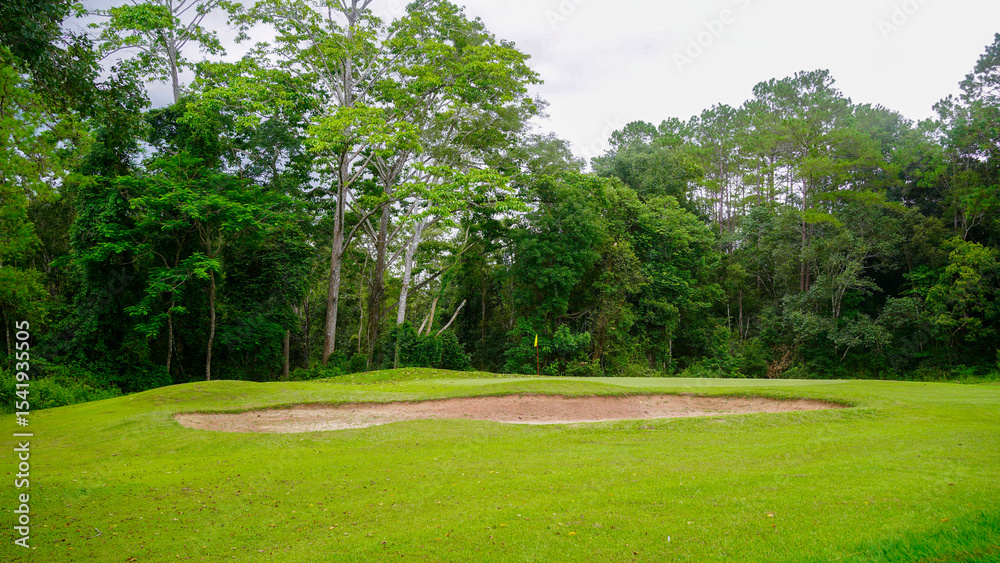 Obraz premium Green grass and woods on a golf field. Green grass and woods on a golf field.