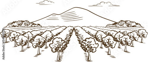 Orchard landscape illustration with rows of fruit trees, mountain background, rural countryside agriculture scene