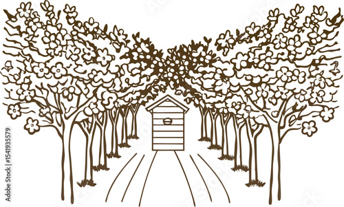 Blossom filled orchard pathway with wooden shed at end spring blooming trees, peaceful countryside retreat