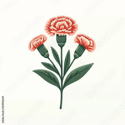 A botanical illustration of three coral carnations with green stems and leaves on a white background