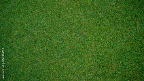 Fotografie Green grass background, top view background of garden bright grass concept used