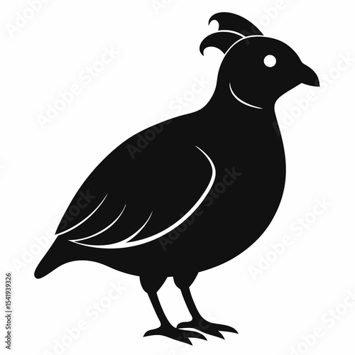 Modern Quail Silhouette Artwork