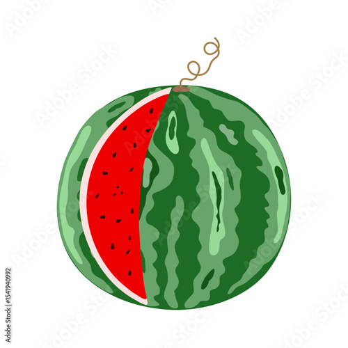 Watermelon whole, sweet ripe delicious berry with green striped outer rind, agricultural crop, farm-grown cultivated fruit, organic diet ingredient for dessert, healthy vegan food clipart for design