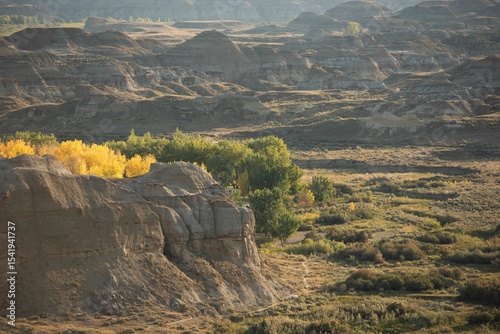 Lush landscape with rocky mountain on a sunny day