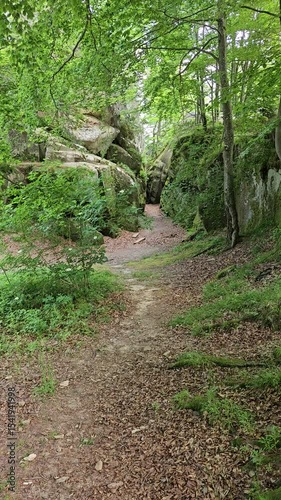 Secluded Forest Path Winding Through Ancient Rock Formations