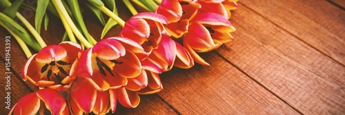 Flat design is showing diagonal red tulips with yellow edges on wooden plank background, copy space