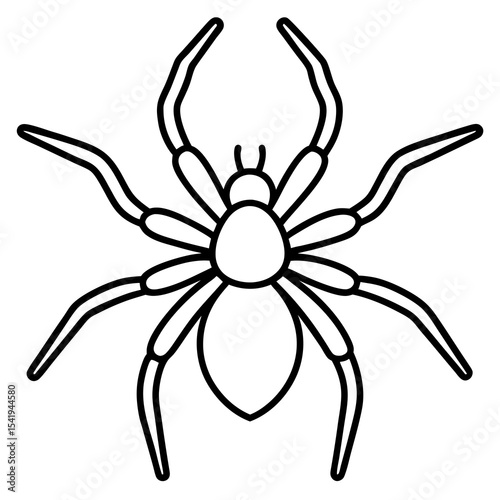 Modern Wolf Spider Outline Graphic