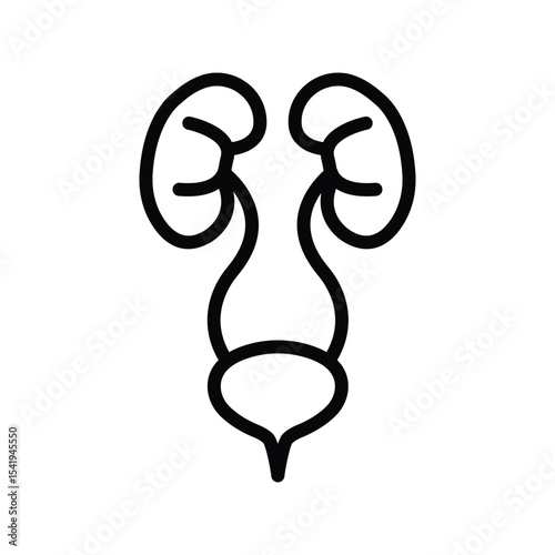 Urinary System line icon , vector, pixel perfect, illustrator file 
