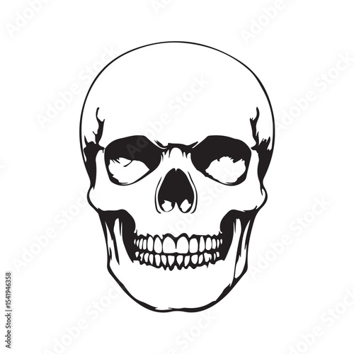 ector illustration of a human skull, detailed and anatomically inspired, ideal for educational content, tattoo design, gothic themes, Halloween elements, and medical-related visuals.