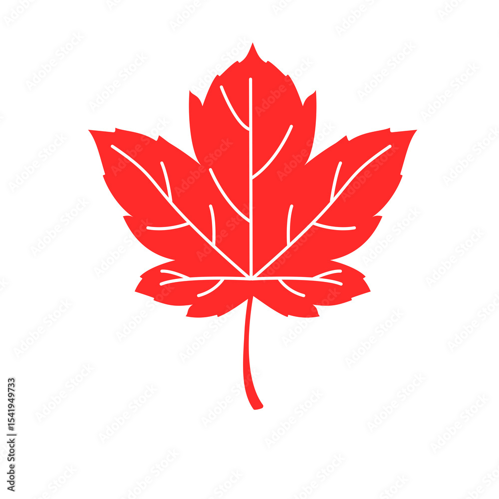 Fototapeta premium red maple leaf
