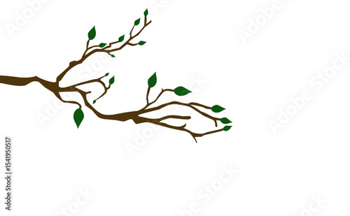 tree with roots