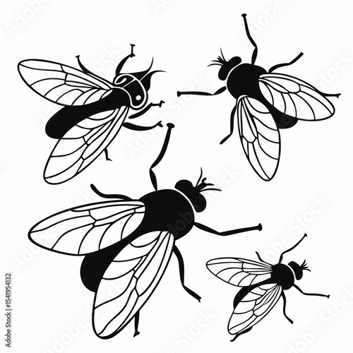 Flies vector