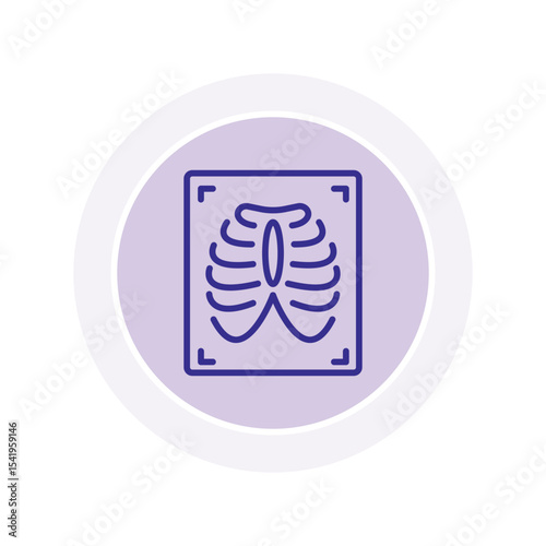 X-ray vector, pixel perfect, illustrator file 
