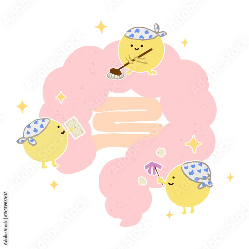 腸をきれいにする善玉菌たち