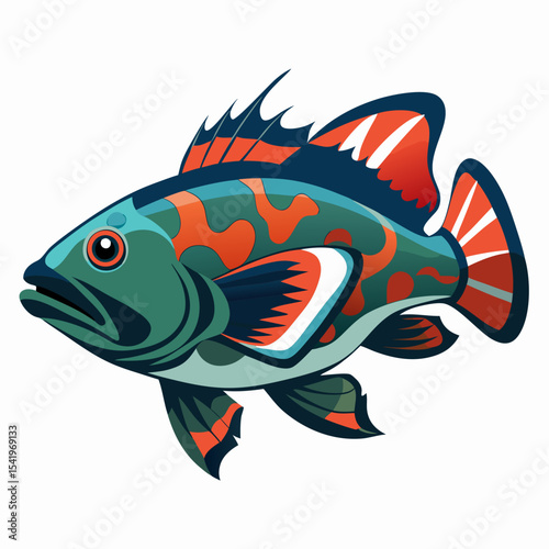 fish on a white background