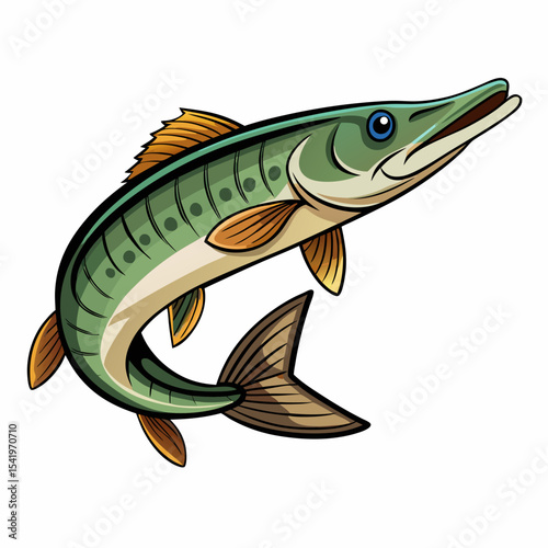 illustration of fish