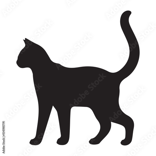 Vector isolated cat silhouette