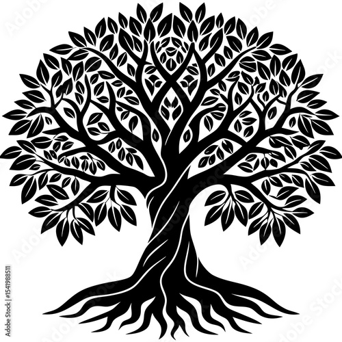 tree with roots