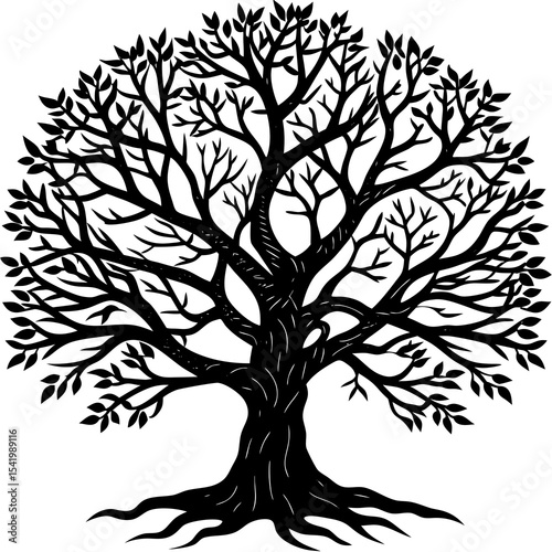 silhouette of tree