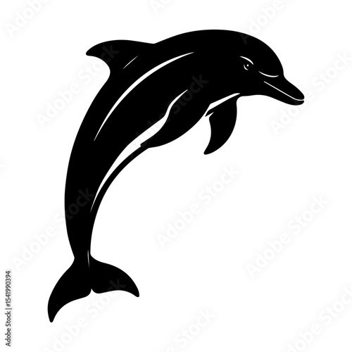 Dolphin silhouette vector illustration aquatic animal sea ocean mammal marine life wildlife art jump design
