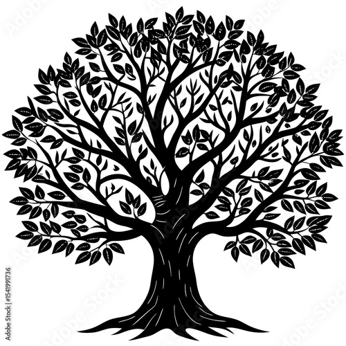 tree with roots