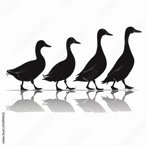 Duck vector