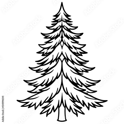 Fir Tree icon vector