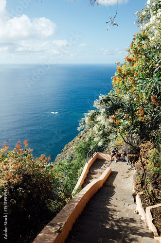 Mirador Los 500 escalones Tenerife, Scenic Cliffside Trail Overlooking a Serene Blue Ocean with Flowering Vegetation