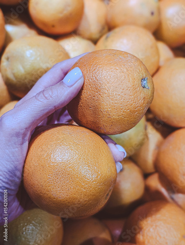 Vertical image of a hand holding a bright orange above a group of oranges