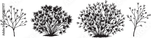 A set of shrubs and trees. Hand drawn vector illustration