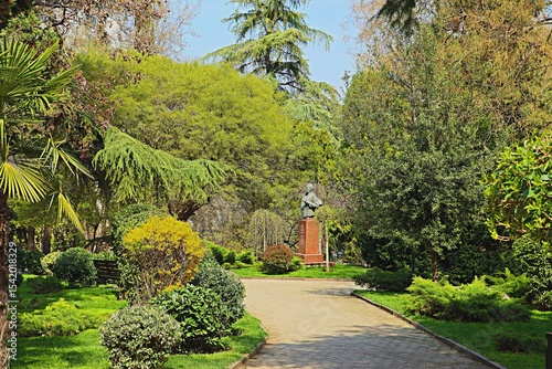 Lush, lush, fresh vegetation in a park in the center of Tbilisi