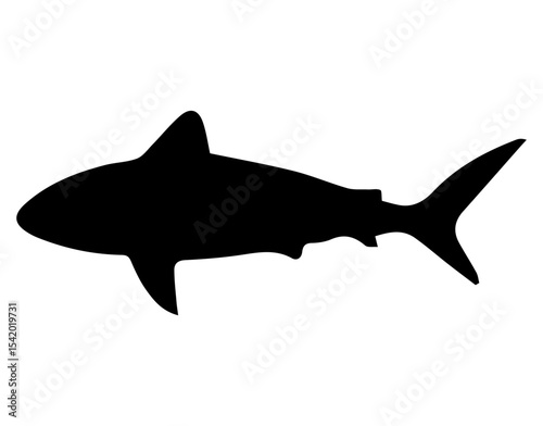 Shark silhouette vector image for ocean animal design and marine life illustration and sea predator artwork