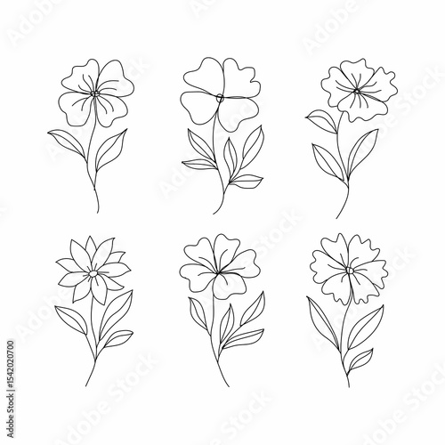 set of flowers