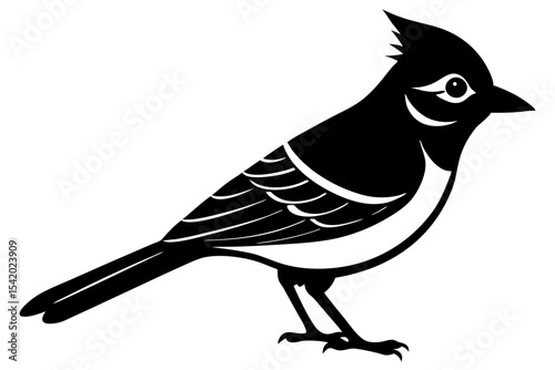 bird on a branch