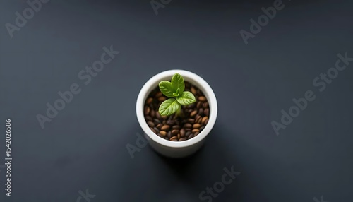 A small sprout emerges from dark soil in a simple white pot, set against a dark background.