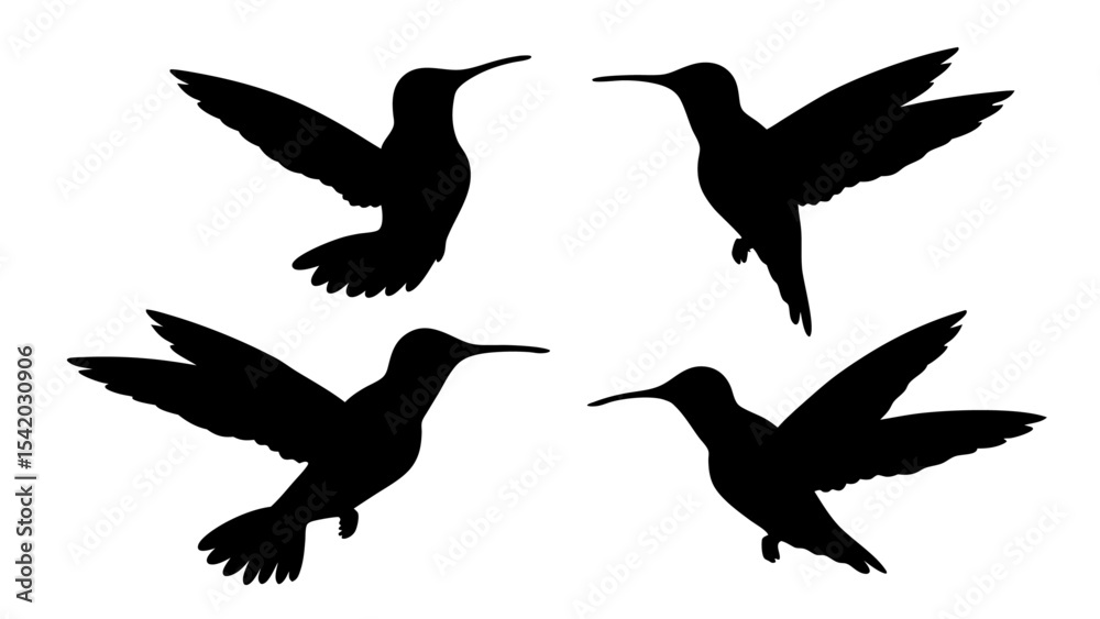 Fototapeta premium humming bird silhouette vector illustration on tranparent background