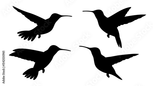 humming bird silhouette vector illustration on tranparent background