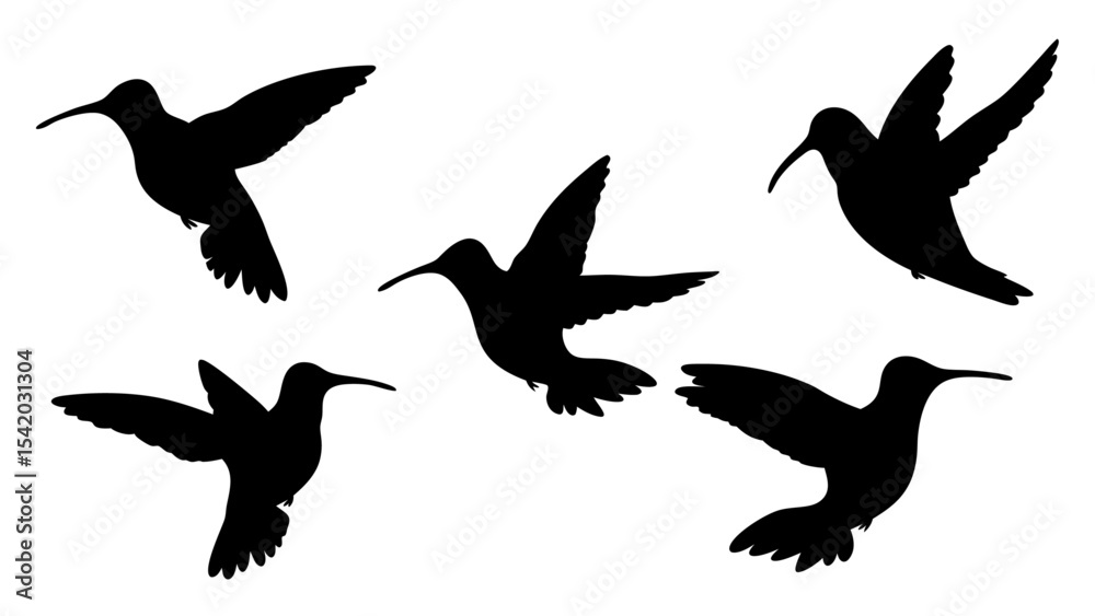 Obraz premium humming bird silhouette vector illustration on tranparent background