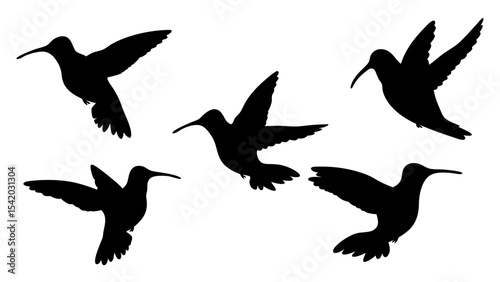 humming bird silhouette vector illustration on tranparent background