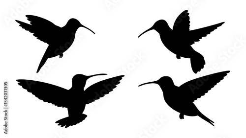 humming bird silhouette vector illustration on tranparent background