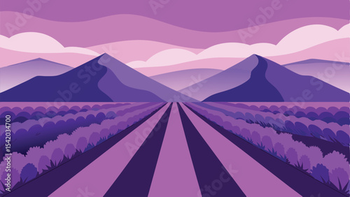 Vector illustration of lavender field and mountain range under purple sky landscape