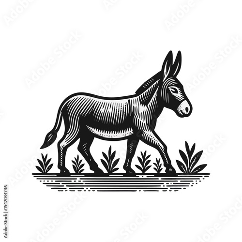 Donkey engrave illustration logo icon design