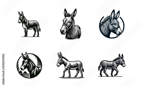 Donkey engrave illustration logo icon design
